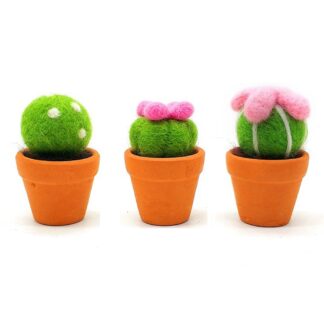 3 Cactus Needle Felting Kit for Beginners Craft Kit Mother's Day Gift
