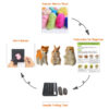 3 Animals Needle Felting Kits for Beginners Easy to Make with Everything Craft for Mom, Grandma, Kids - Image 3