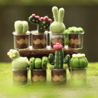 8 Cactus Needle Felting Kits for Beginners Craft Kit Gift 3.2x1.6inch