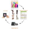 4 Animal Beginner Needle Felting Kits - We Are Friends - 4 inch DIY Craft Kit for Christmas Day - Image 6