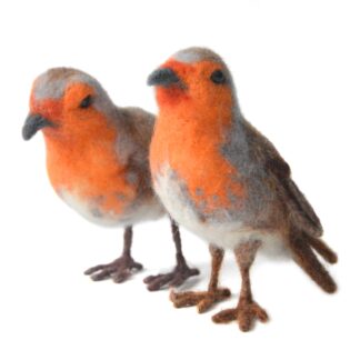 robin felting kit