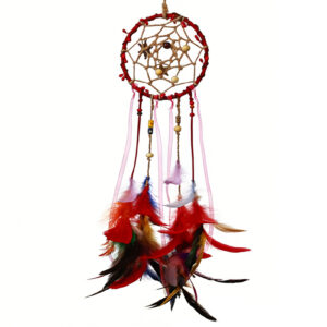 Dream Catcher Kit for Beginners Personalized Dreamcatcher Craft Kit for Family Include Everything to Make (LIEHUO)