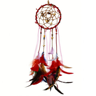 Dream Catcher Kit for Beginners Personalized Dreamcatcher Craft Kit for Family Include Everything to Make (LIEHUO)