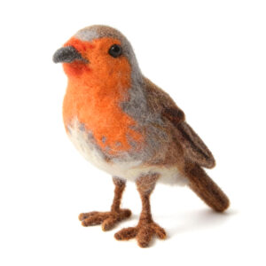 Robin Needle Felting Kit for Beginners DIY Craft Kit Include Everything to Make 4.7inch Height